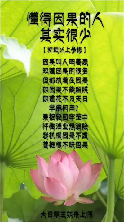 放下执着 风光无限的天人因执着转生卖鱼翁受因果轮回苦