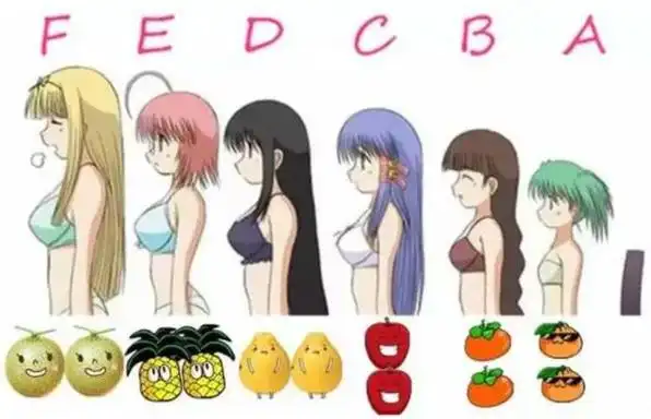 女人乳房长什么样最完美最标准的乳房形状长什么样图