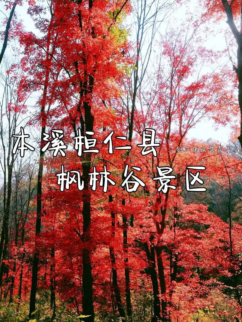 旅行攻略丨辽宁本溪—桓仁枫林谷景区.