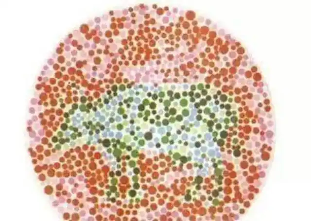 车管所"色盲测试图"发布,若车主看出第5张,考驾照时要多留意|驾驶证