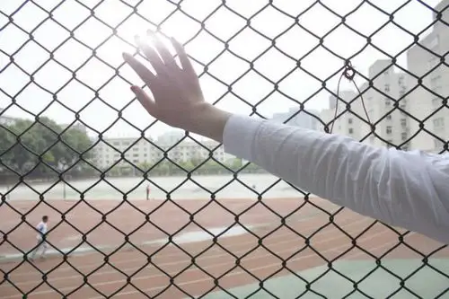 如果我向你伸手,你愿不愿意跟我回师大