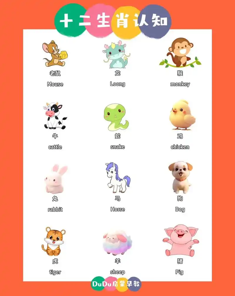 十二个不同属相的小动物,加上中文和英语 - 抖音
