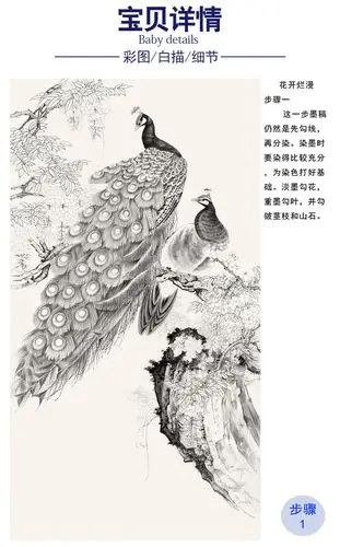 陈军 工笔白描底稿 花开烂漫 孔雀花鸟步骤 cj32