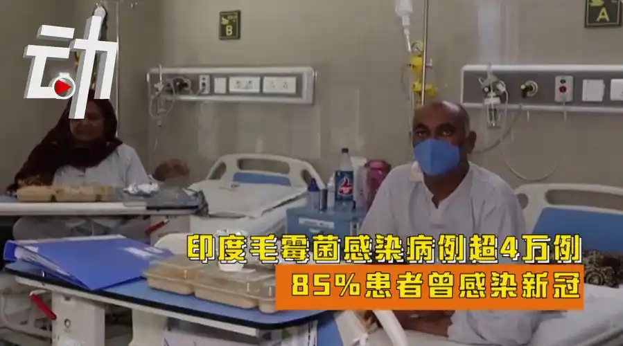 印度4万人感染毛霉菌8成曾患新冠