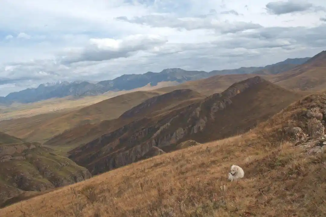 voyage │ 逝川与流光,飘忽不相待