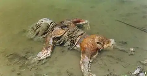 印度人为什么不怕浮尸,为什么在恒河里洗澡不生病?