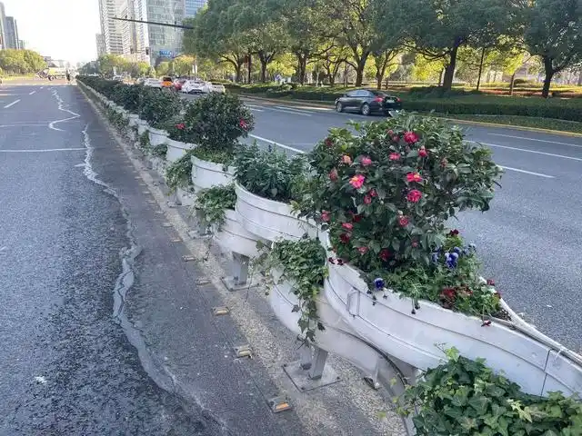 临近元旦,浦东新区主题景点,主要道路花坛花境上新,共计换花231.
