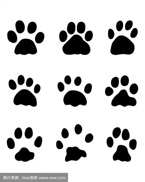 兔子,脚印,矢量,爪,野生动物