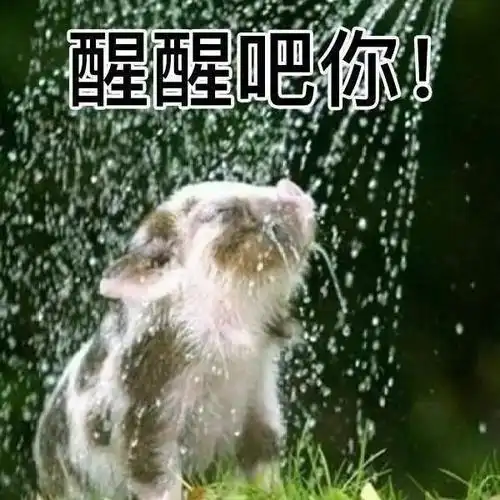 老师一盆凉水已经泼过来了铺垫太多的后果就是感谢的话还没打完给老师