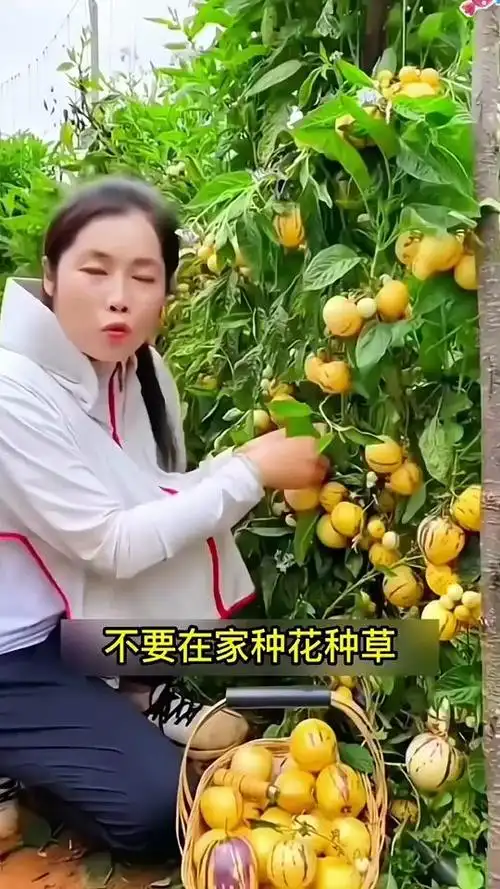 琴菲儿好物_琴菲儿好物个人资料_琴菲儿好物直播间_18183kol_18183