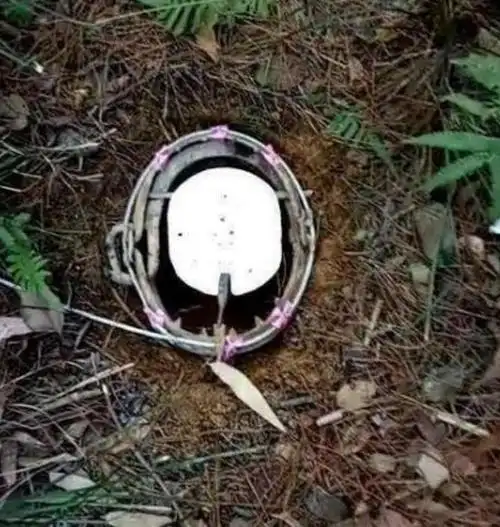 男子野外设好陷阱,第二天捕到这家伙,男子慌忙跪下给它磕头