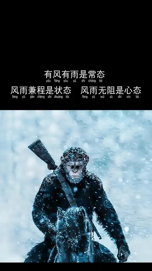 有风有雨是常态风雨兼程是状态风雨无阻是心态有时候我也认不清自己了