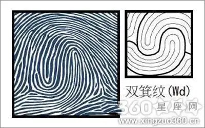 双箕斗纹好不好?这些双箕斗纹面相值得你了解