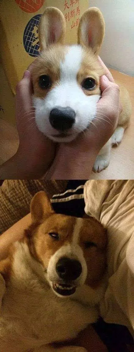 【搞笑】哈哈哈哈哈!你女朋友朋友圈里的样子vs睡觉时的样子