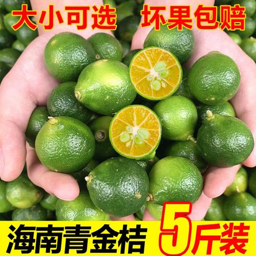 青橘包邮海南新鲜小青金桔榨汁小橘子小青柠檬酸水果奶茶店批发