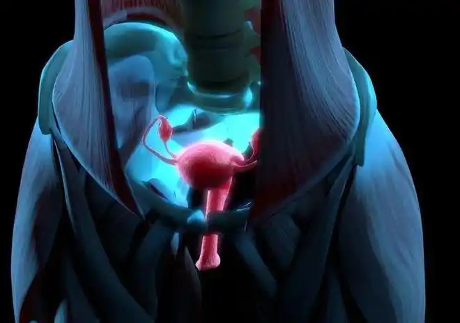 听说女人老了之后,子宫都会从下面"掉"出来?_网易订阅