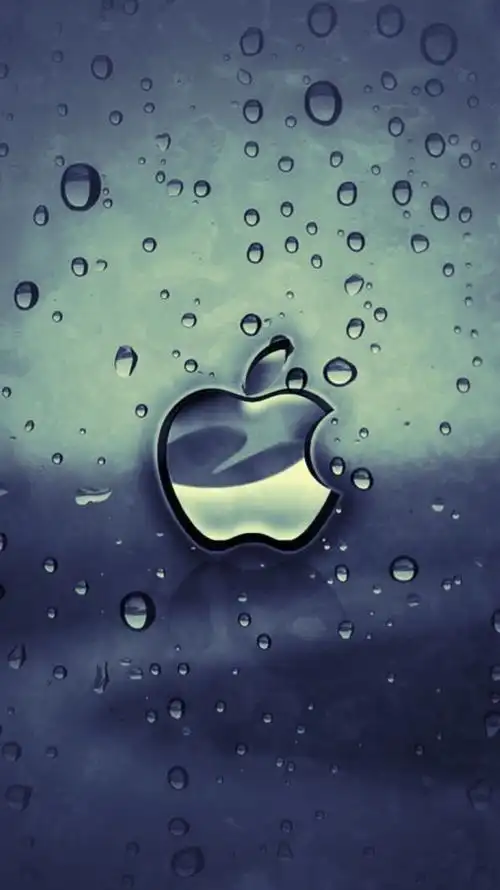 iphone内置 图标 书架 主屏 锁屏 套… - 堆糖,美图壁纸兴趣社区