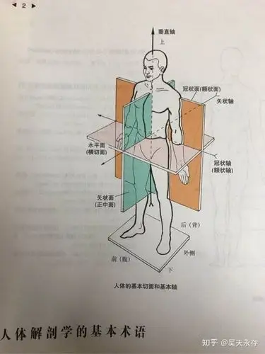 不用去理解三个面三个轴,那太不小白了,哈哈.