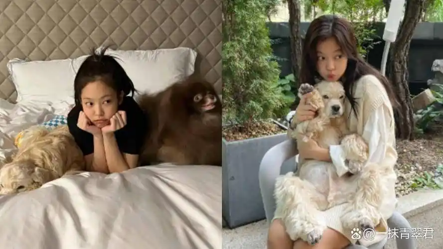 jennie挚爱kai不幸离世 与妈妈提及爱犬便相互哽咽_kuma_狗狗_毛孩子
