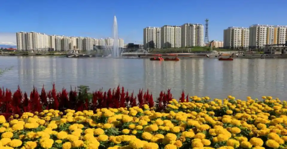 新疆轮台县33361发展战略787878轮台有杏子,核桃,香梨,葡萄