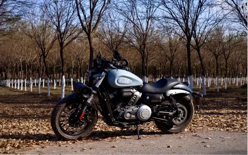 有冬天的感觉了!金吉拉300