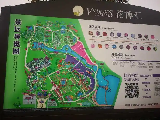 武汉周边的网红景点——武汉花博汇一日游