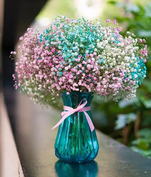 齐洁多色满天星干花花束真花花瓶勿忘我批发永生花卉客厅装饰品摆件