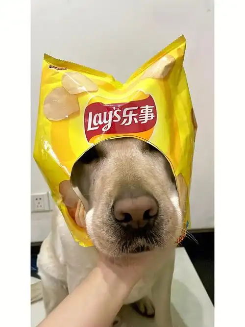 修勾的宅家乐事薯片自拍