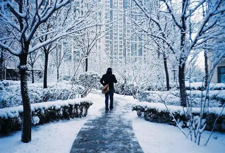 年初最美的那场雪,某人去上班的背影.
