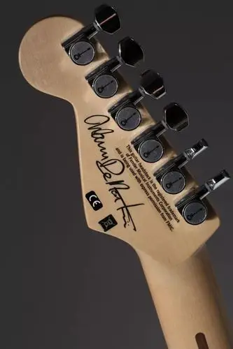 金鳞狂舞charvelwarrendemartinipromodsnake签名款