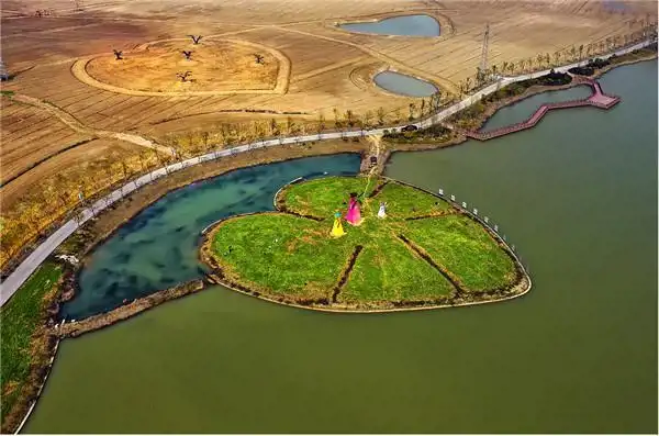 官亭林海对外最好的宣传诠释,园区拥有各类精品树木150余种,乡村生态