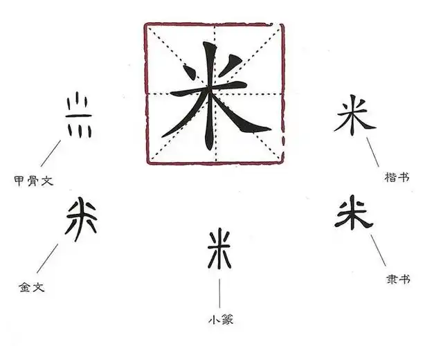 汉字娃娃∣图图姐姐带你了解汉字那些事儿——米|粟子|稻谷|金文|甲骨