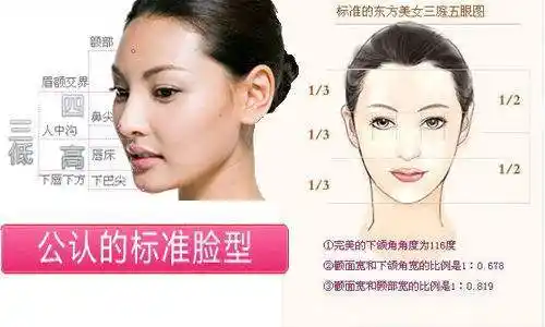 标准脸是什么脸型 标准脸型的黄金比例图多少厘米