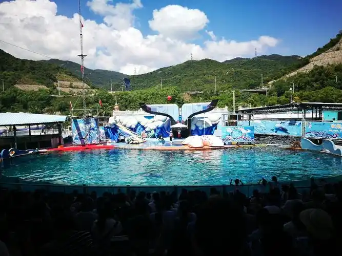 深圳小梅沙海洋世界好玩吗,深圳小梅沙海洋世界景点怎么样_点评_评价