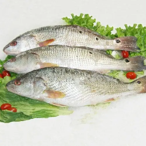 百花鱼_供应产品_沈阳二姐活鱼批发