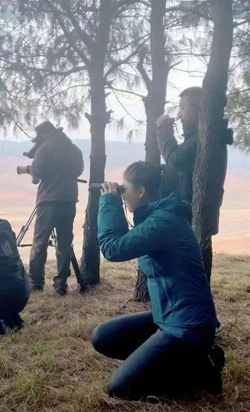 天南地北南传人 | 唐天骄:她有着看过世界的从容_工作_小时_专业