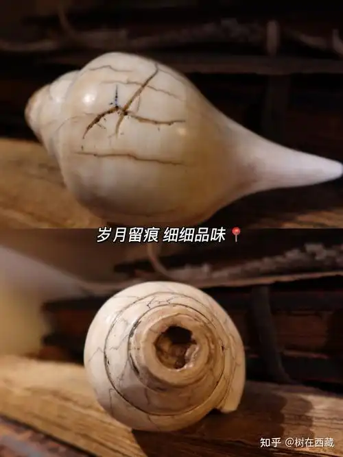 「文玩收藏」|藏传佛教法器——法螺 - 知乎