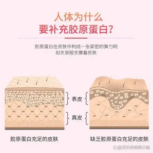 胶原蛋白是一种存在于人体内的结构蛋白,它广泛分布于皮肤,骨骼,韧带