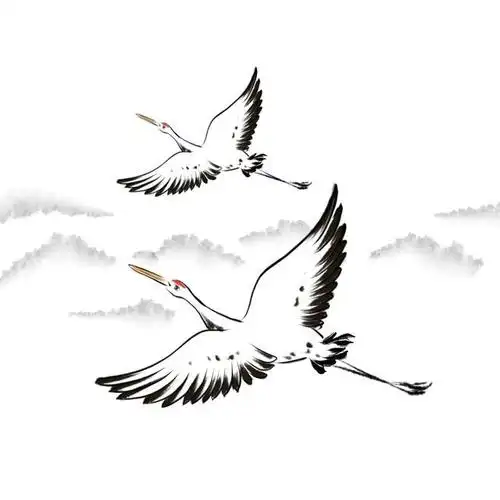 白鹭上青天!海安这个地方美得惊艳!