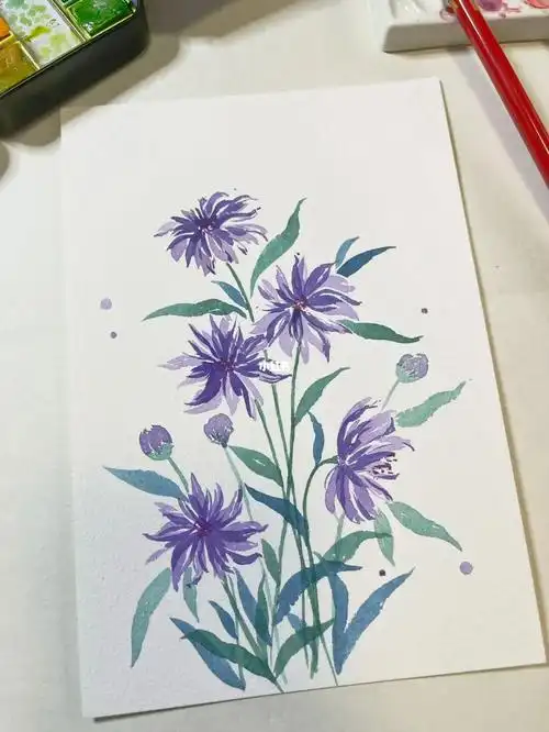 水彩  #矢车菊