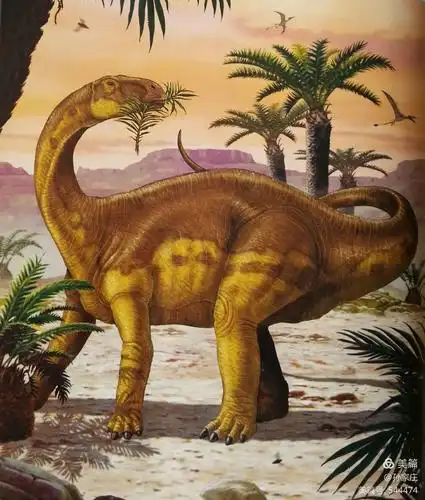 莱森龙(巨型龙)