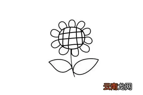 向日葵简单好看向日葵简笔画