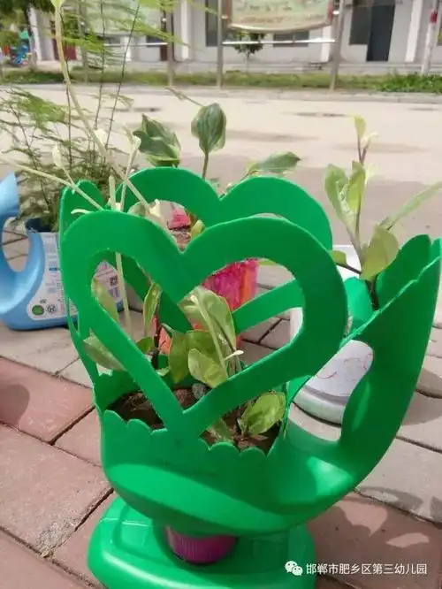 创意花盆大变身" ——肥乡区第三幼儿园幼儿园"亲子环保花盆创意秀"
