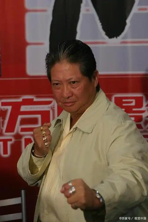 李连杰吴京洪金宝甄子丹到底谁最能打?功夫明星谁最能打的!