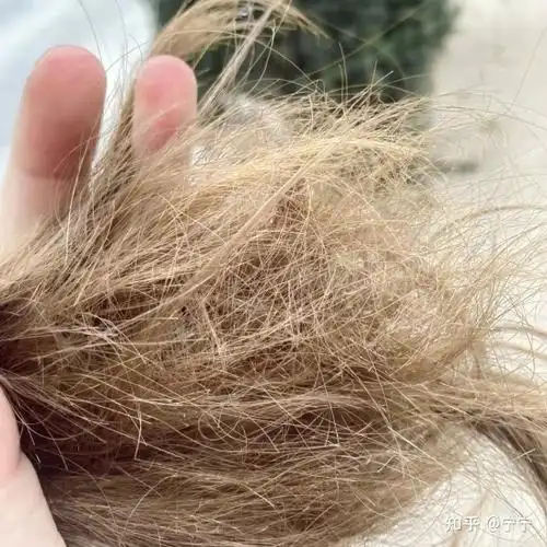 头发干枯受损怎么办有没有什么解决办法推荐