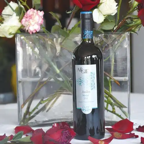 阿根廷原瓶进口安第斯梅洛红葡萄酒-红酒在线网
