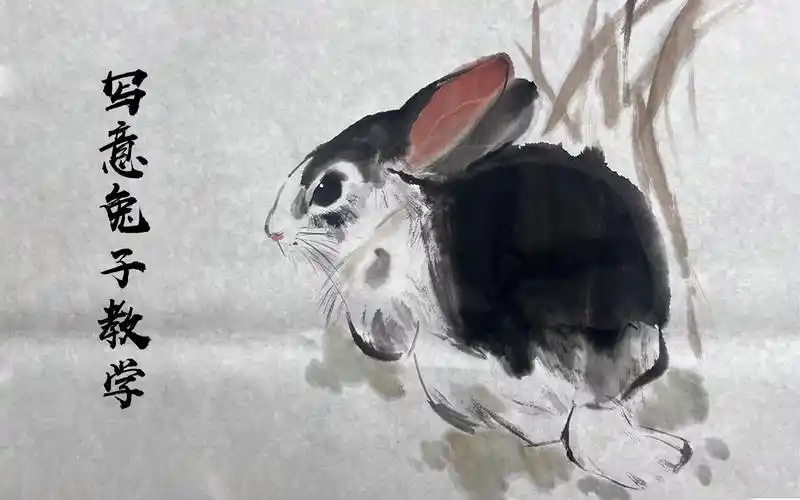 【国画精讲】国画动物入门技法,画写意兔子不再困惑,这样简单的画法你