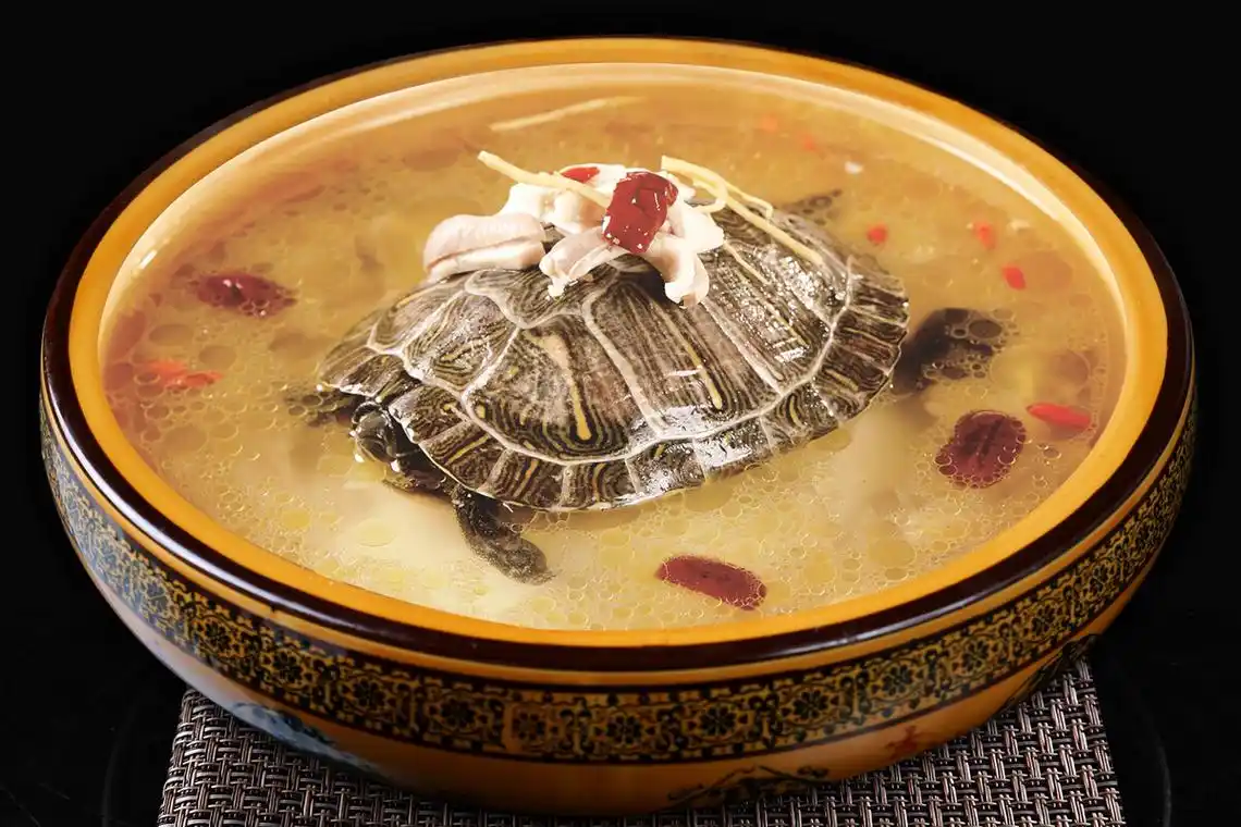 清炖甲鱼汤