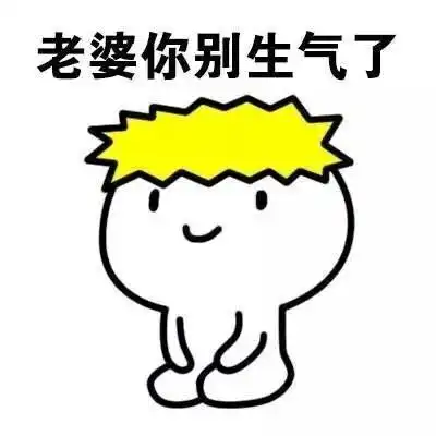 老婆你别生气了