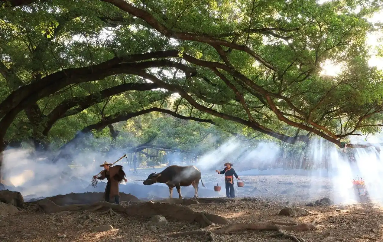 榕树下,一位老村民,戴着斗笠,披着蓑衣…榕树下,一位老村民, - 抖音